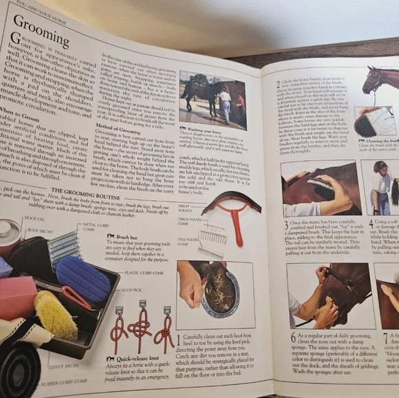The Ultimate Horse Book by Elwyn Hartley Edwards - Picture 12 of 13